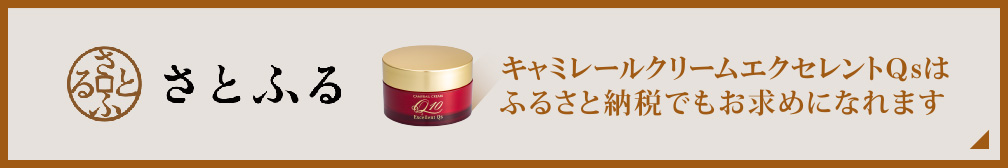 ふるさと納税サイト「さとふる」はこちら