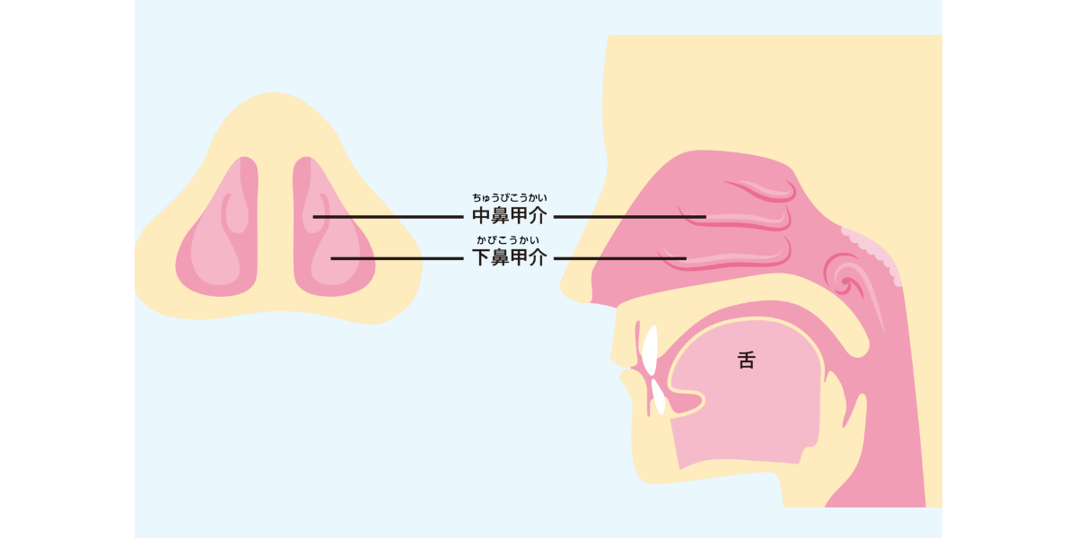 なぜ花粉が鼻づまりの原因に？