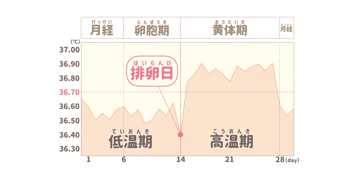 ホルモンバランスはセルフチェックできる？